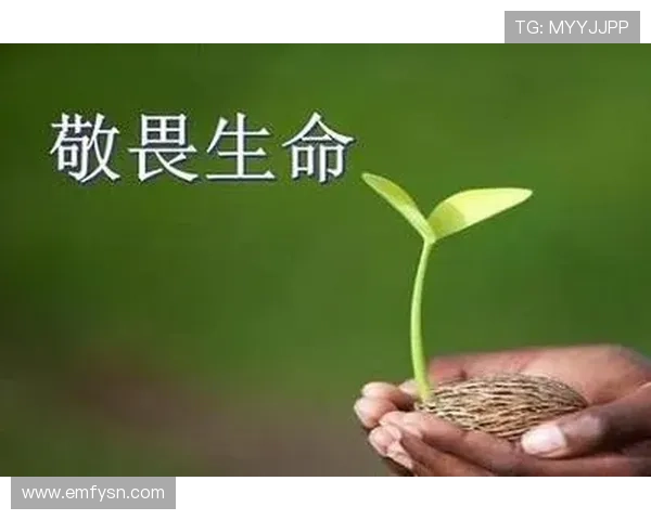 别让周日成为终结，拥抱生命的每一种可能